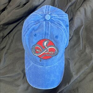 Blue Cap with Red Snake Embroidery